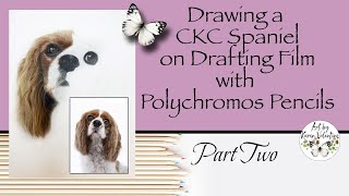 Drawing a Cavalier King Charles Spaniel with Polychromos on Drafting Film *part 2*