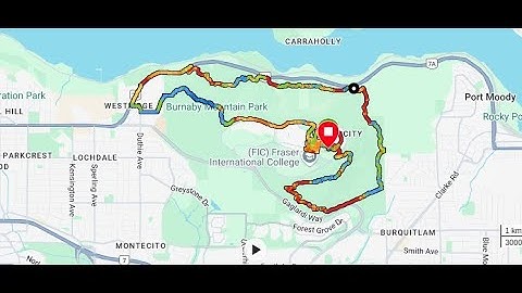 Unlocking Garmin Data: CSV Export + AI Analysis for Deeper Insights