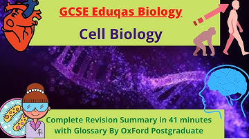 GCSE Eduqas Biology Cell biology Complete Revision Summary in just 41 Minutes only