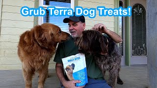 Grub Terra Dog Treats! by Troy Bell Outdoors 65 views 1 year ago 5 minutes, 22 seconds