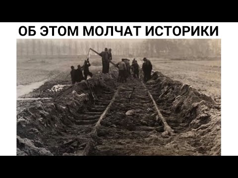 Восстановление России после потопа и фальшивые деньги Демидова