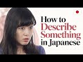 Japanese Speaking Challenge: Can You Describe This Object?