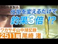 【2022年新製品】300匹から500匹にする仕掛・ワカサギ王