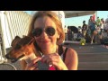 Nina Service Dogs 2015 - Mike, Aspasia's service dog Nina Service Dogs 2015 - Mike, Aspasia's service dog