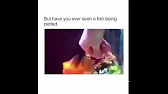 samira sabe