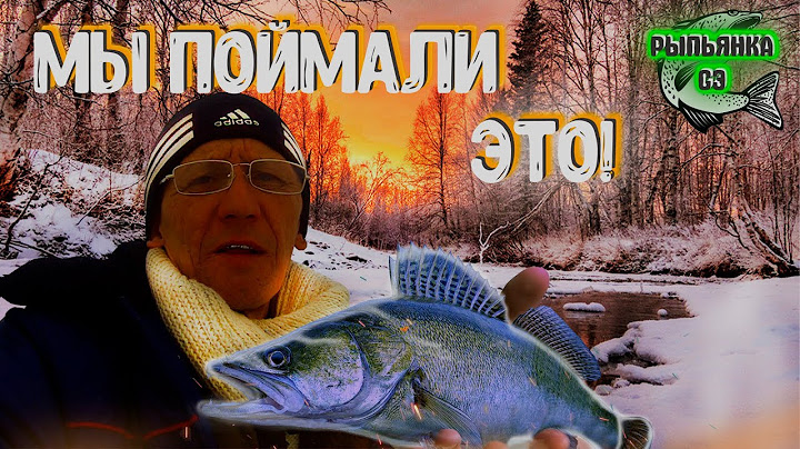 ЗИМНЯЯ РЫБАЛКА НА СУДАКА.БОЛЬШОЙ СУДАК.РЕКА ВОЛГА