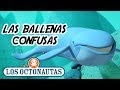 Los Octonautas Oficial en Español - Las Ballenas Confusas | Episodio 16