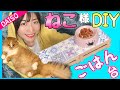 簡単15分【ダイソー猫棚DIY】材料2つ！【猫用ごはん台】計400円