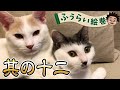 【ふうちゃんらいちゃん登場】ふうらい絵巻〜其の十二〜