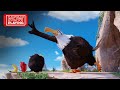 The angry birds movie  finding mighty eagle