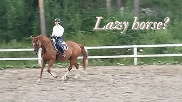 How to ride a lazy horse? (is the horse actually lazy?)