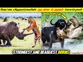 உலகின் பலமிக்க மிகவும் ஆபத்தான கொம்புகளை கொண்ட விலங்குகள் | 8 Animals With Biggest &amp; Deadliest Horns