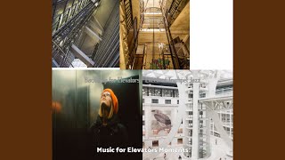 Artistic Ambience for Long Elevator Rides