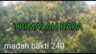 MB 240/Trimalah Bapa/instrumen, karaoke lagu rohani dengan lirik tanpa vokal/cover/