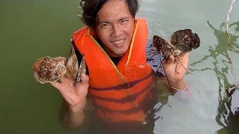 34 .Đục Hàu Quanh Bè Nấu Cơm Sáng Cùng Vợ ( Thái Ngọc Cần Giờ )