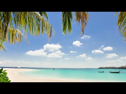 Video: Le 8 migliori crociere alle Bahamas del 2022