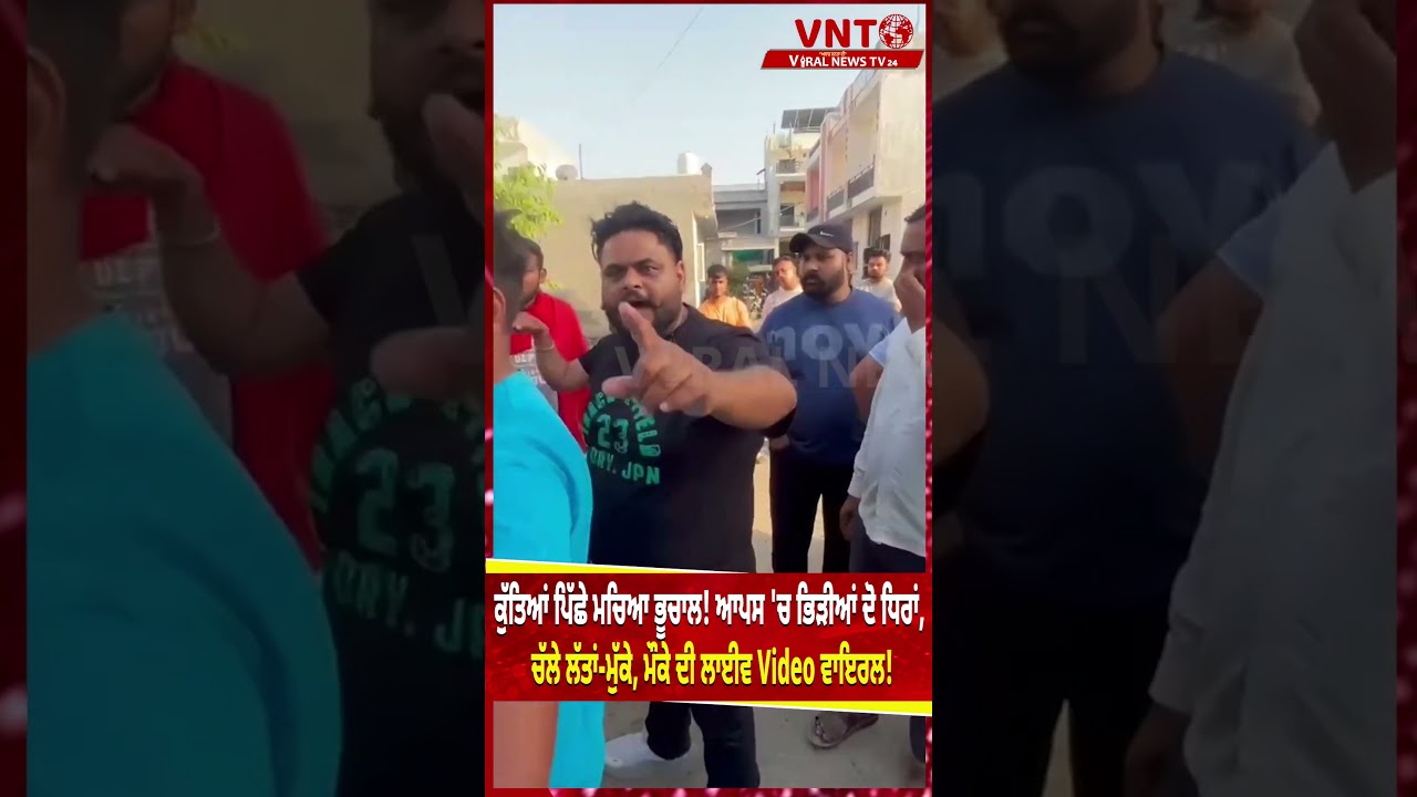 ਕੁੱਤਿਆਂ ਪਿੱਛੇ ਬਣਿਆ ਜੰਗ ਦਾ ਮੈਦਾਨ! ਆਪਸ 'ਚ ਭਿੜੀਆਂ ਦੋ ਧਿਰਾਂ, ਹਾਈ-ਵੋਲਟੇਜ ਡਰਾਮੇ ਨੇ ਗਰਮਾਇਆ ਮਾਹੌਲ,