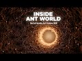 I Mounted a Camera on an Ant… This Is What I Saw Underground #shortvideo #youtubeshorts #ytshorts