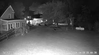 Anomaly investigation footage of visitor I nearly OVERLOOKED