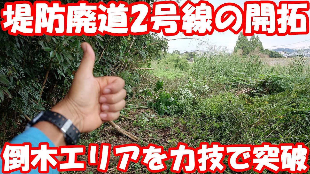 倒木エリアを突破し待望の堤防廃道2号線の開通。