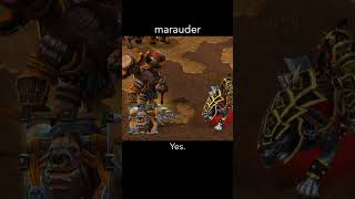marauder — WarCraft 3 dialogue scene