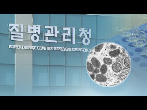 엠폭스 사흘간 국내감염 5명 추가 확진…누적 47명 / 연합뉴스TV (YonhapnewsTV)