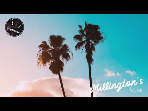 Avicii x Sum 41 x Gotye - Levels, In Too Deep (Andrew Millington Remix)
