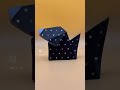 Meet the barking dog | Origami Art and craft | Bizzi Art