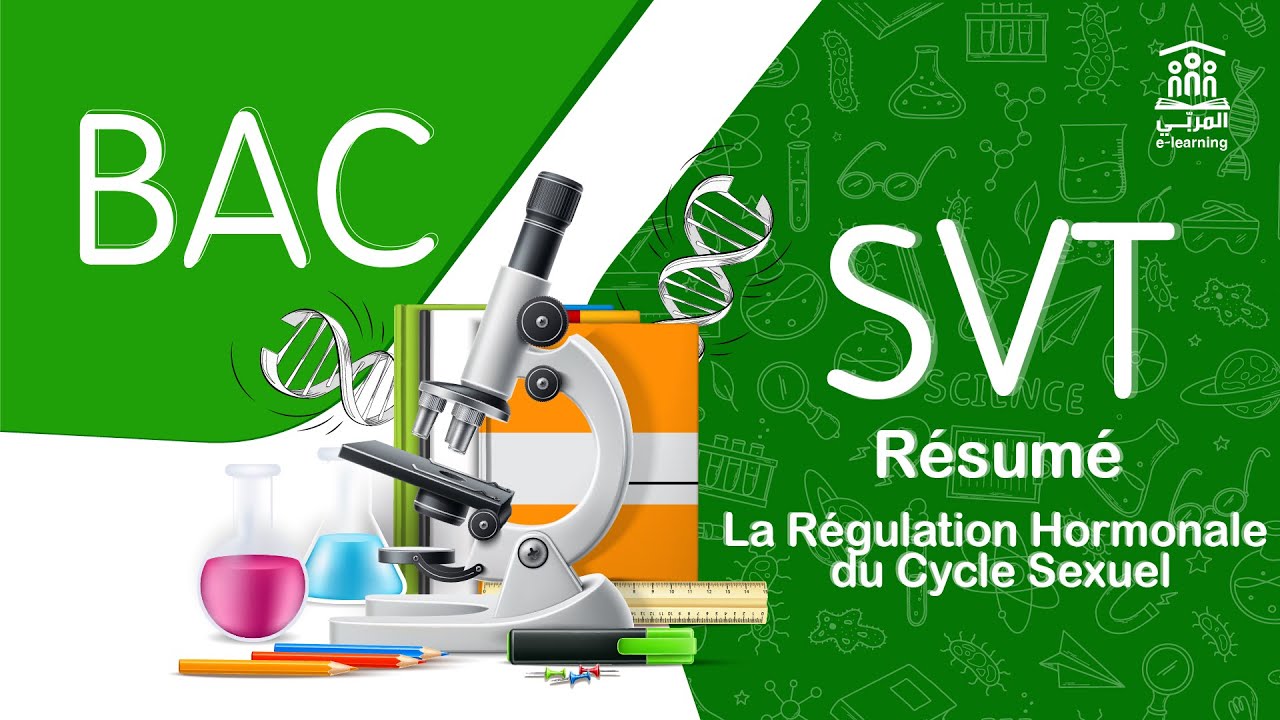 Bac Sciences | SVT | Résumé La Régulation Hormonale du Cycle Sexuel