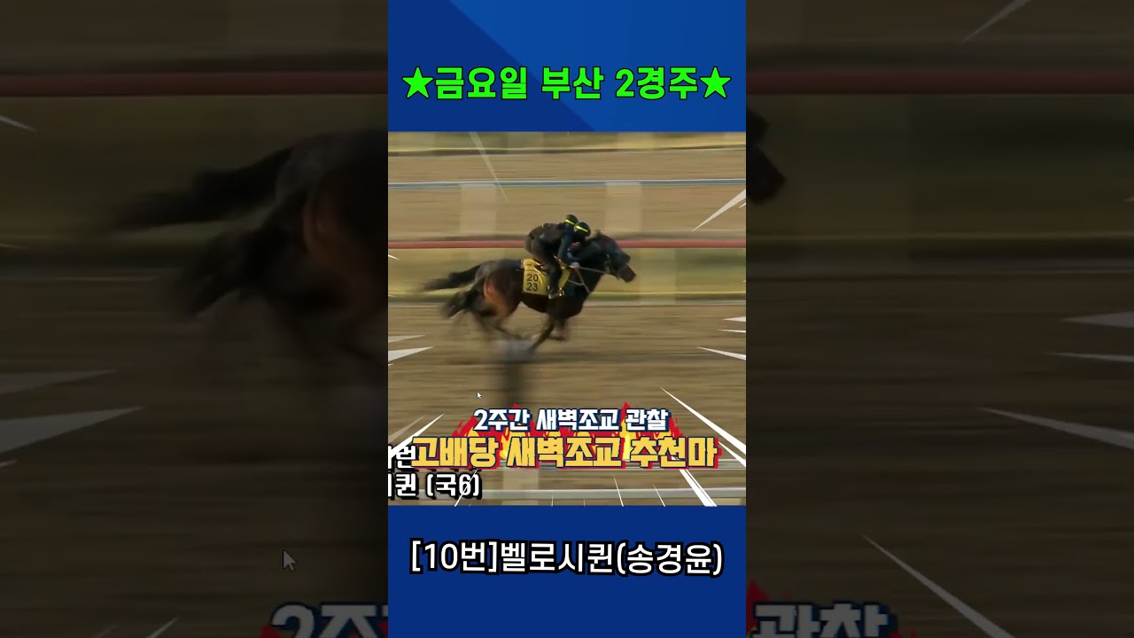 4월17일 금요일 부산2경주!! 2주간 훈련보인 강백호의 새벽조교 쏘스마!!