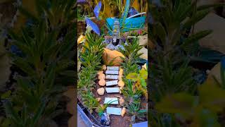 for more beatiful vedios https://www.instagram.com/reel/CjnqAkYBYHT/?igshid=YmMyMTA2M2Y=