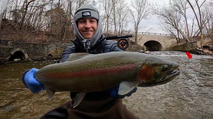 48 heures de pêche à la truite géante en ville - Camping-car solo