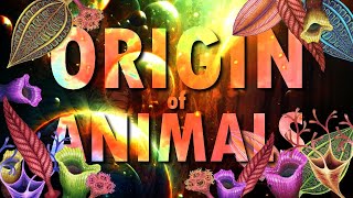 ORIGIN of ANIMALS
