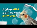 قبل از حمام کردن عروس هلندی این ۵ نکته رو بدون 