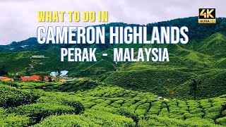 CAMERON HIGHLANDS PERAK MALAYSIA