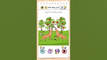 Brain test level 437