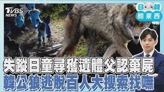 京都11歲男童失蹤21天尋獲遺體 父認棄屍 狼來了!  韓國公狼逃脫百人陸空大搜索找不到｜日韓酷東西PODCAST@tvbsnews24live