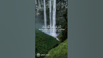 فارس عباد سورة [الحديد ٢٠] #quran #قران_كريم #حالات_واتس #ستوريات