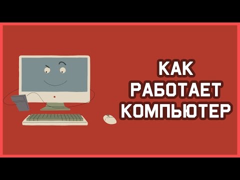 видео: Edu: Как работает компьютер