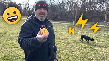 What does an aversive level e collar correction looks like when the dog is properly trained