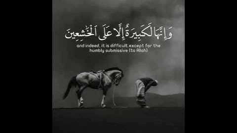 وأستعينوا بالصبر والصلاة ..🤍🍃 #عبدالرحمن_مسعد #قران #القرآن_الكريم #تلاوةخاشعة