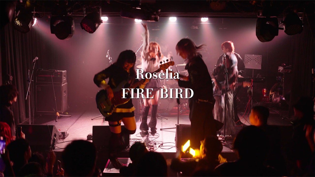 Roselia 【FIRE BIRD】cover by 牛頓第四運動定律