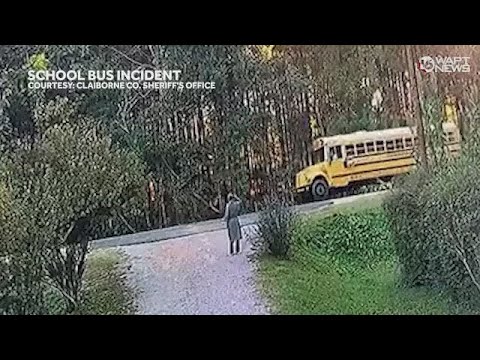 Truck driver cited for running past school bus stop sign - YouTube