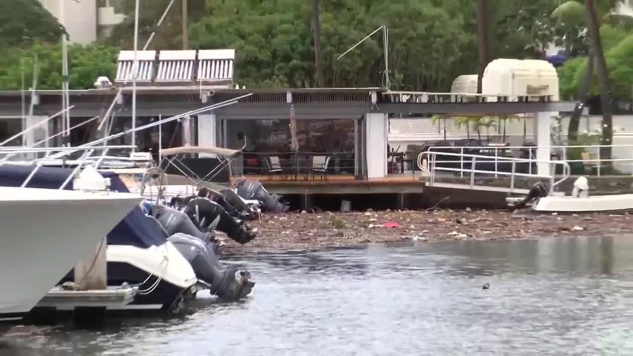 Cleanup underway after heavy rain, runoff turn harbor into dump site
