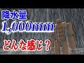 もし降水量1000ミリの雨が降ったとしたらどんな感じなのか？【物理エンジン】