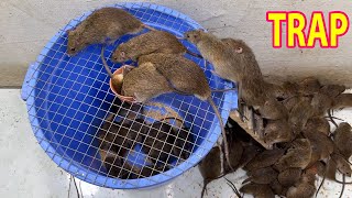 Falling into a trap \ Mouse trap videos \ How to make the best mouse trap in the world