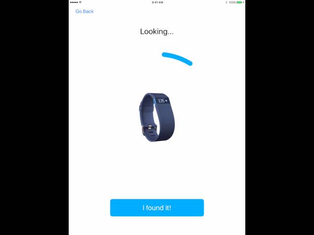 Find Fitbit Demo