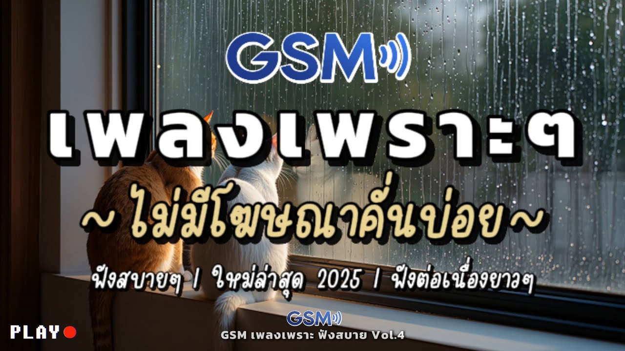 รวมเพลงเพราะๆ ฟังสบาย 2025 |  ฟังต่อเนื่องยาวๆ ไม่มีโฆษณาคั่นบ่อย | Vol.4