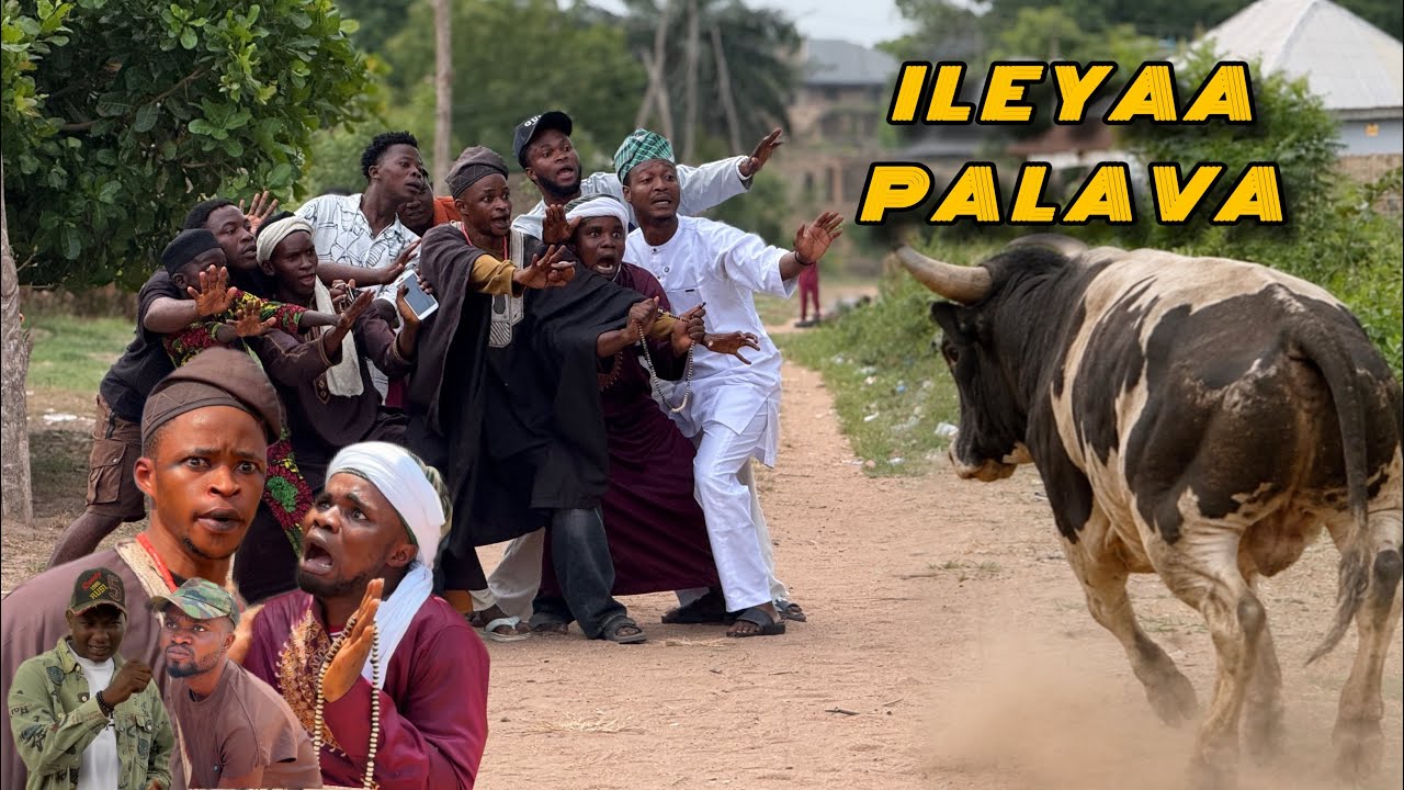 ILEYA PALAVA 😂🐄 | Latest Yoruba Comedy Movie 2026/ Ozain /Luckyvisual/ oko amoke/ 