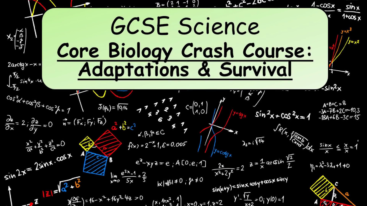 GCSE Science Revision: Core Biology Crash Course, Adapt & Survive b10